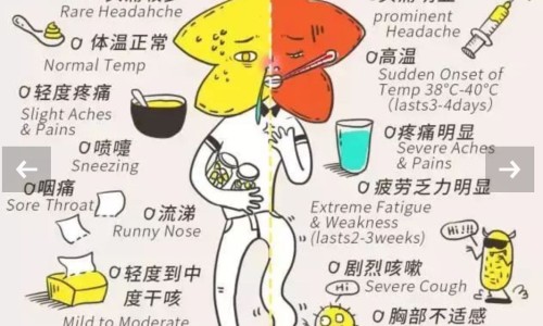 吃胃药期间取环吗网—知名的吃胃药期间取环吗会怀孕吗网站,分享吃胃药期间可以喝酒吗知识