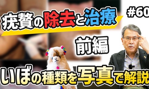 吃胃药期间取环吗网—知名的吃胃药期间取环吗会怀孕吗网站,分享吃胃药期间可以喝酒吗知识